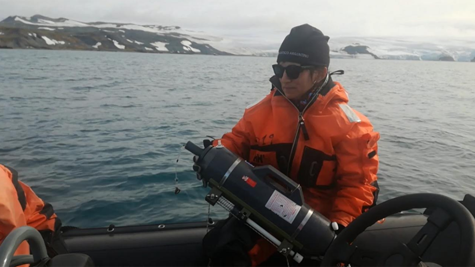 Científicos del CONICET junto a colegas de Alemania y Chile registraron bajas concentraciones de sustancias tóxicas de origen natural en la Antártida.