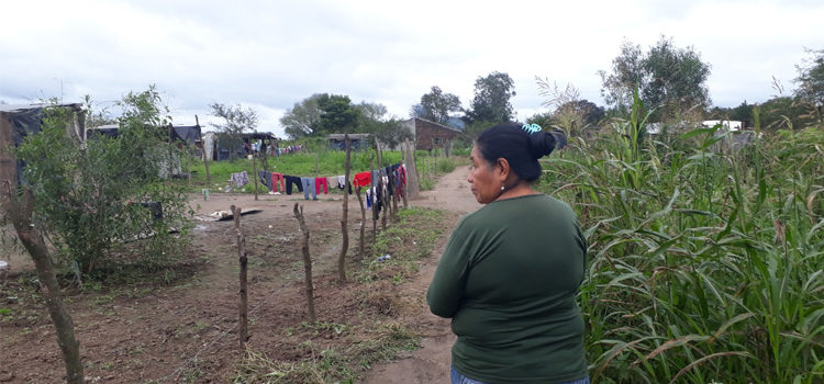 Lanzan un informe con el estado de los pueblos originarios en el contexto de pandemia