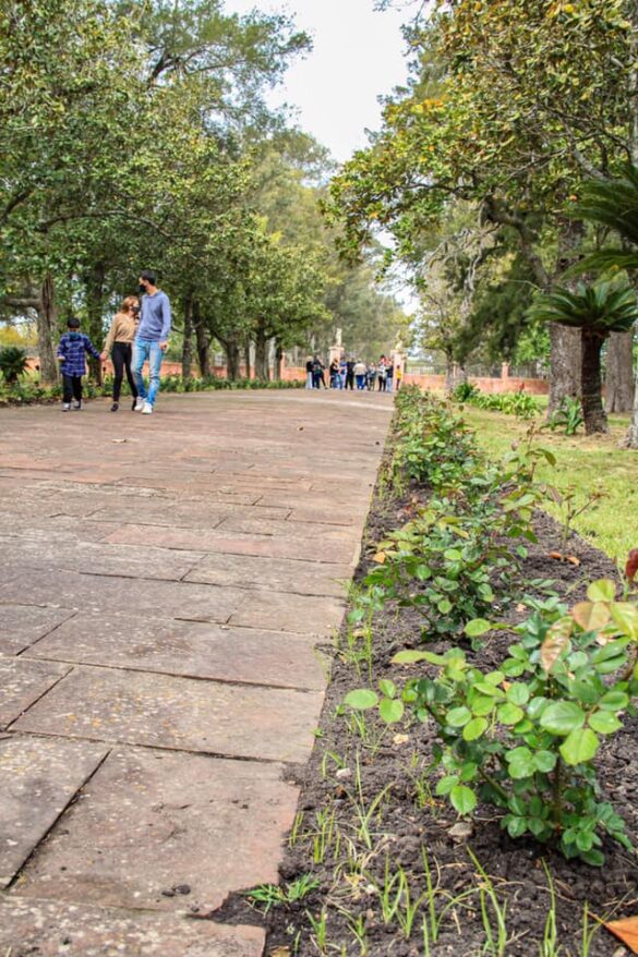 Foto: Reapertura del Palacio San José