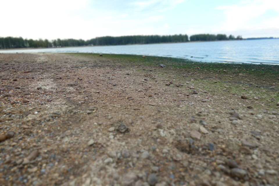 Presencia de cianobacterias en orilla del Lago Salto Grande (Concordia-Entre Ríos)