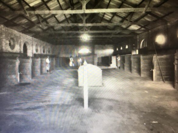 Ganados de la estancia a fines del siglo XIX