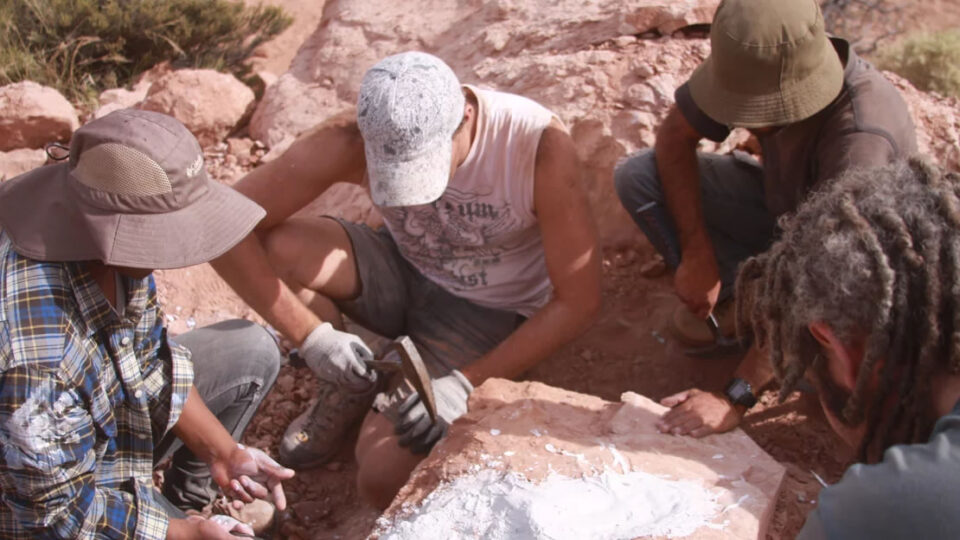 La nueva especie fue hallada en la provincia argentina de Río Negro. Fuente imágenes: gentileza investigadores.