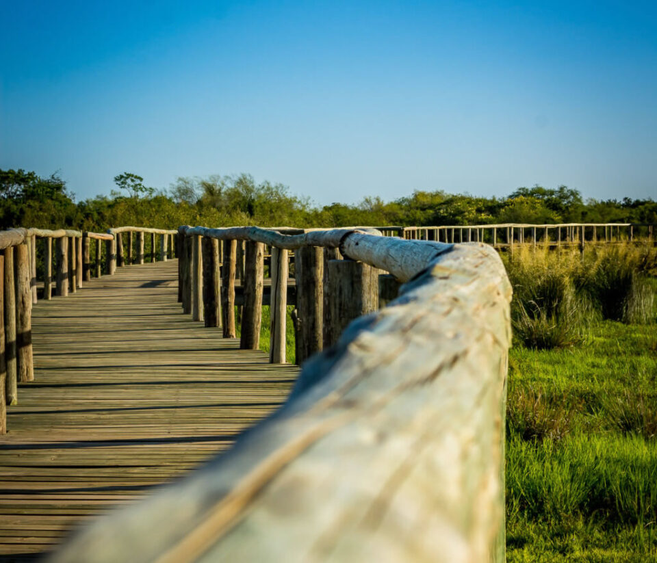 Reserva Natural Chaviyú