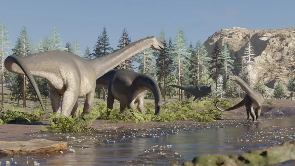 Fuente: Gabriel Díaz Yantén (Paleogdy)