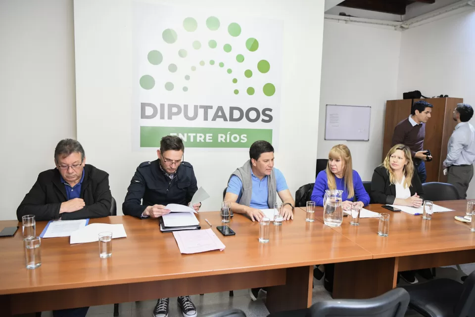 Diputados avanzan con proyectos sobre minibasquet, gimnasios y natatorios en Entre Ríos