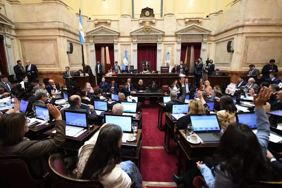senadores entrerrianos financiamiento universitario y emergencia pediátrica