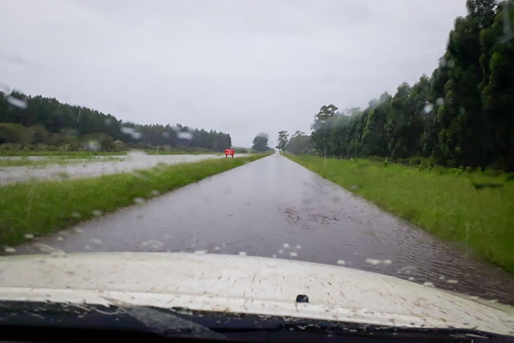 Alerta amarillo por tormentas en Entre Ríos: prevén lluvias intensas, ráfagas y posible granizo - Salto Grande Extra