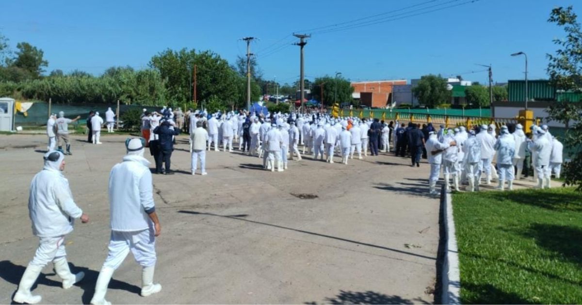Estos empresarios se llevaron la guita afuera: duras críticas a la gestión de Granja Tres Arroyos tras el cierre en Entre Ríos - Salto Grande Extra
