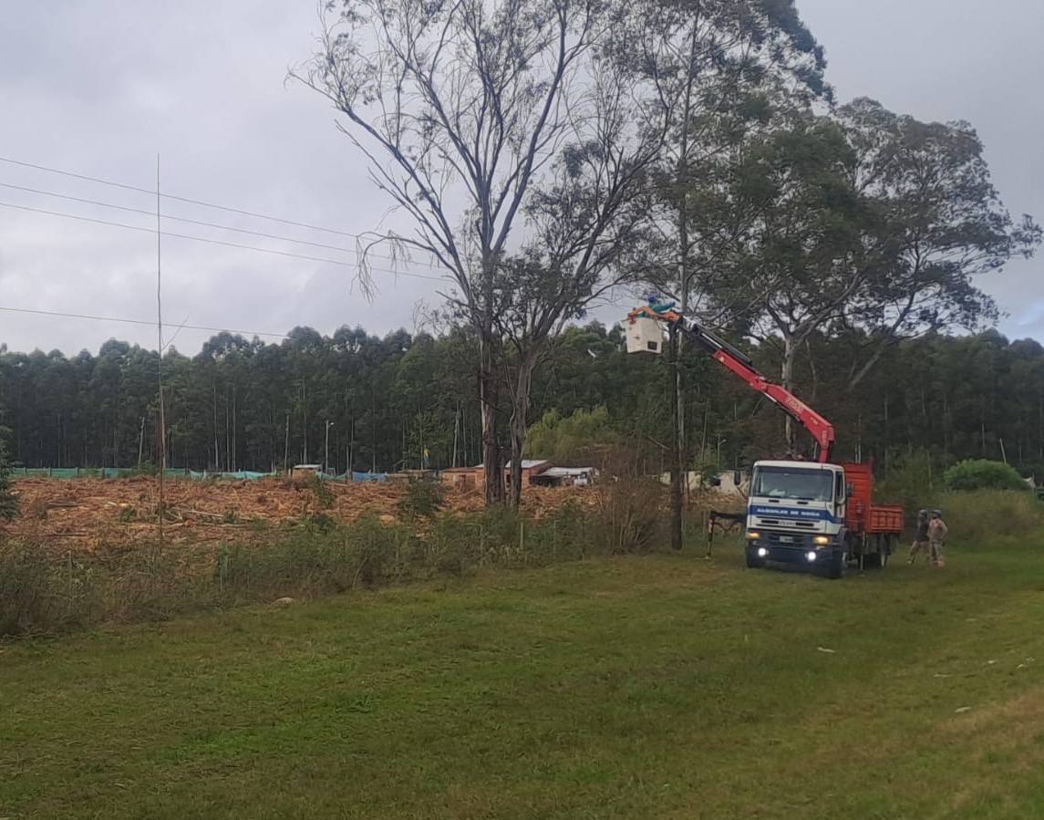 Una tala de árboles en un predio privado dejó sin luz a Calabacilla y Puerto Yeruá - Salto Grande Extra