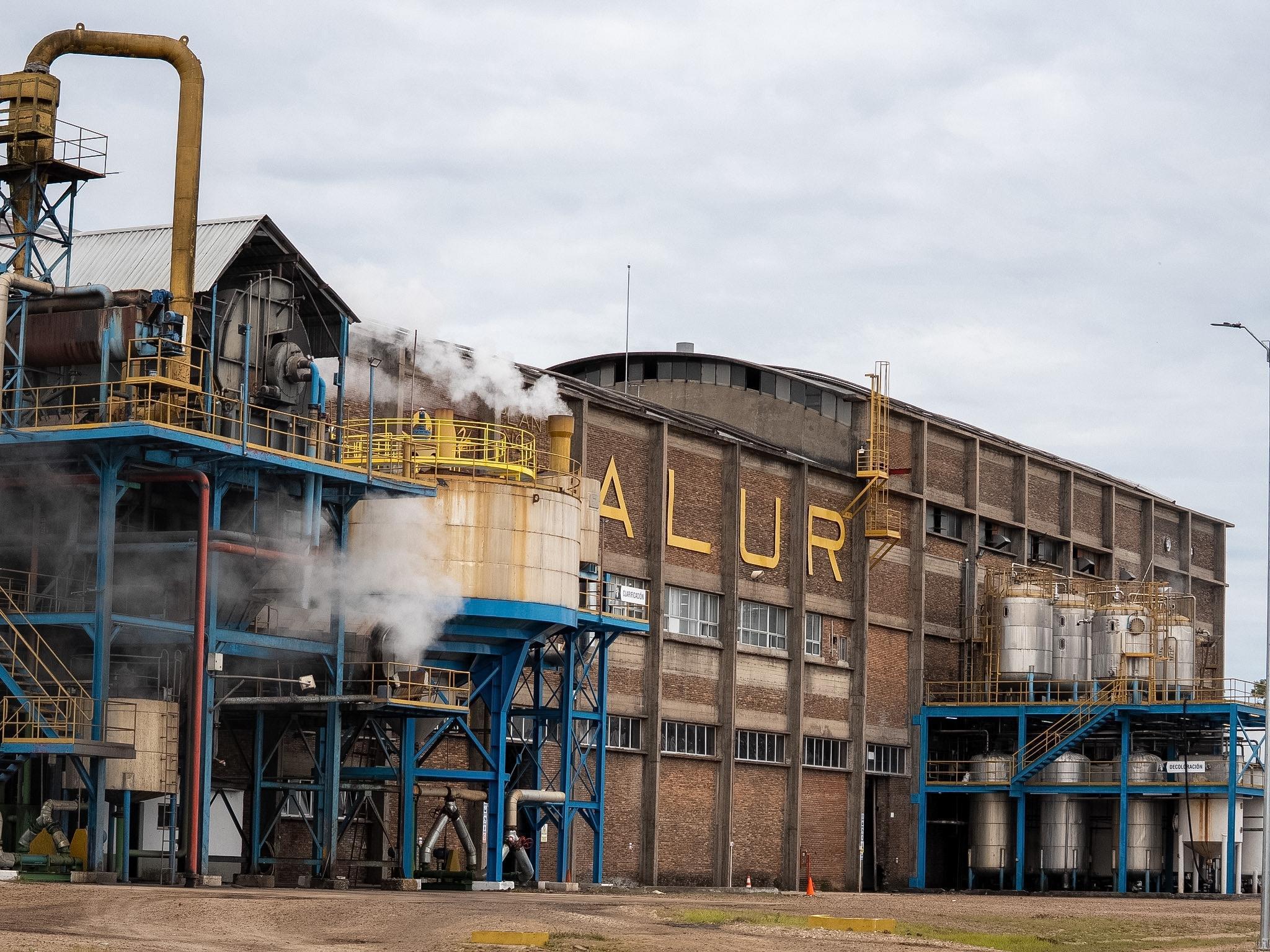20 años de ALUR en Bella Unión: Renacimiento productivo y social en el norte uruguayo - Salto Grande Extra