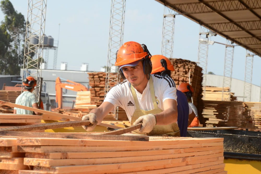 Concordia firmó un convenio para impulsar la capacitación y el desarrollo de la industria de la madera - Salto Grande Extra