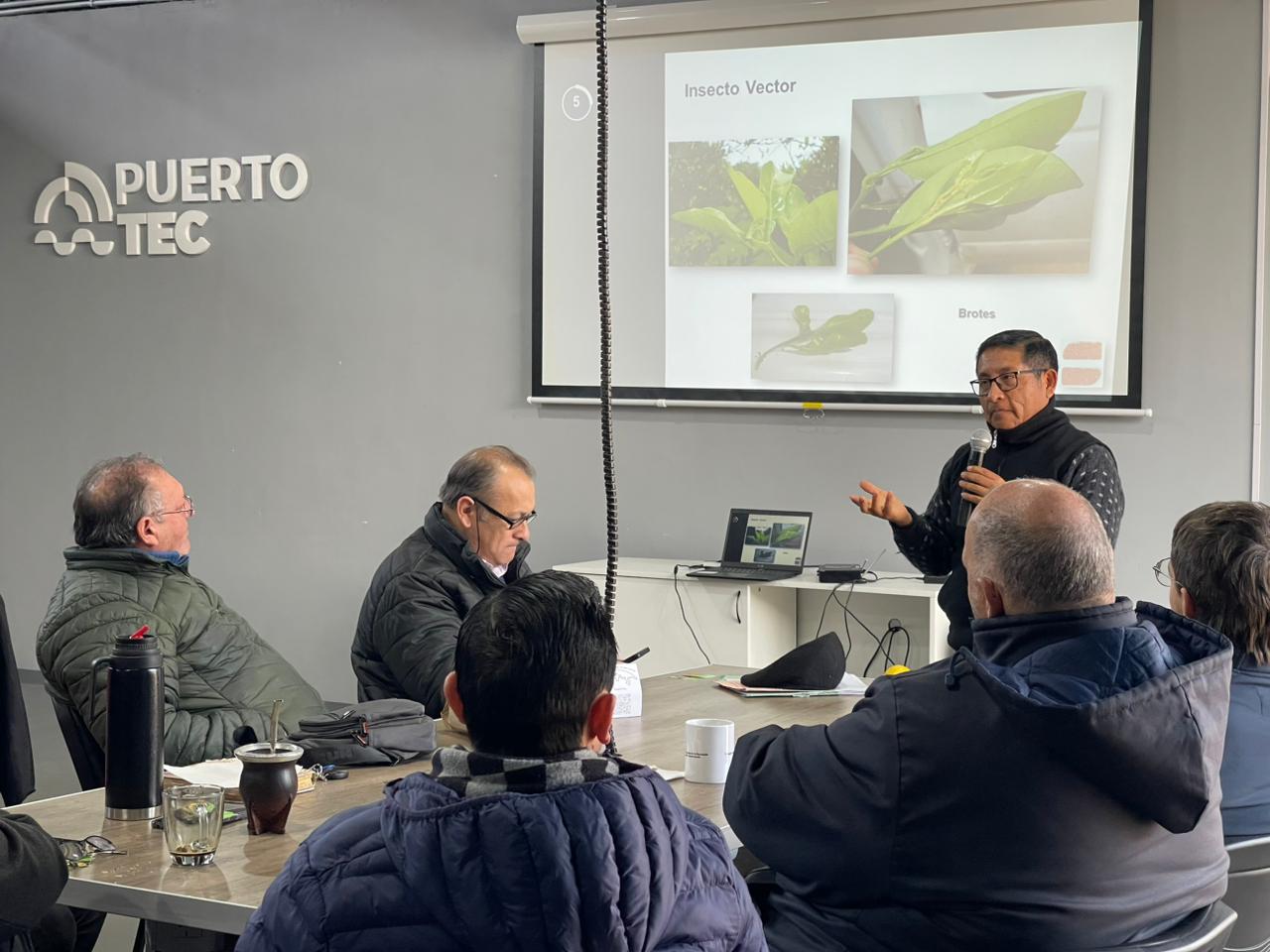 Concordia refuerza los controles para prevenir el HLB y proteger la producción citrícola - Salto Grande Extra