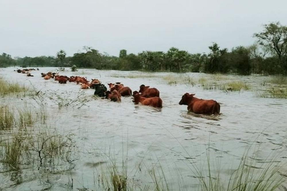 Prevención hídrica: Articulan protocolos con municipios ante la llegada del fenómeno de El Niño en Entre Ríos - Salto Grande Extra