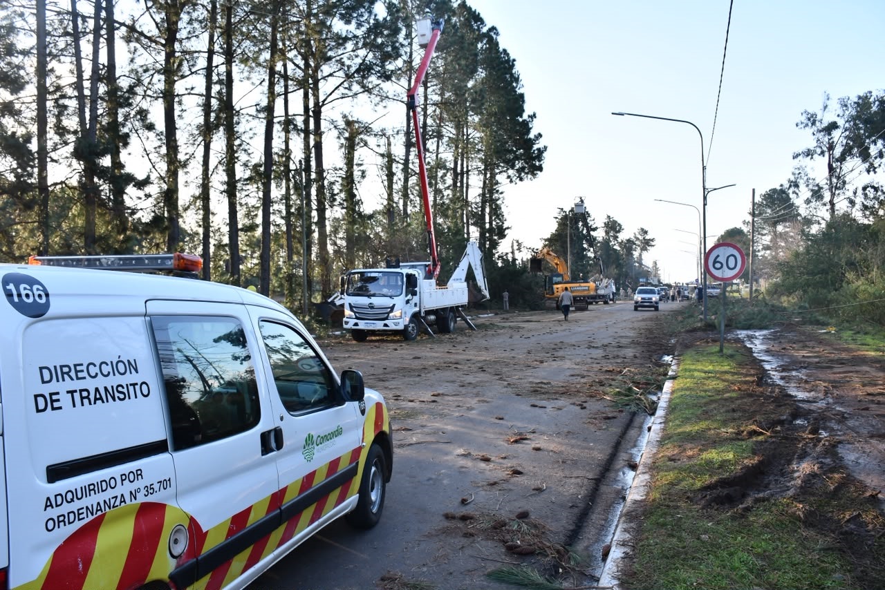 Tras el fuerte temporal, la Municipalidad puso en marcha un operativo en distintos sectores de la ciudad - Salto Grande Extra