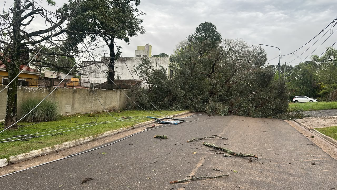 Tras la tormenta, la Municipalidad desplegó un operativo en distintos sectores de Concordia